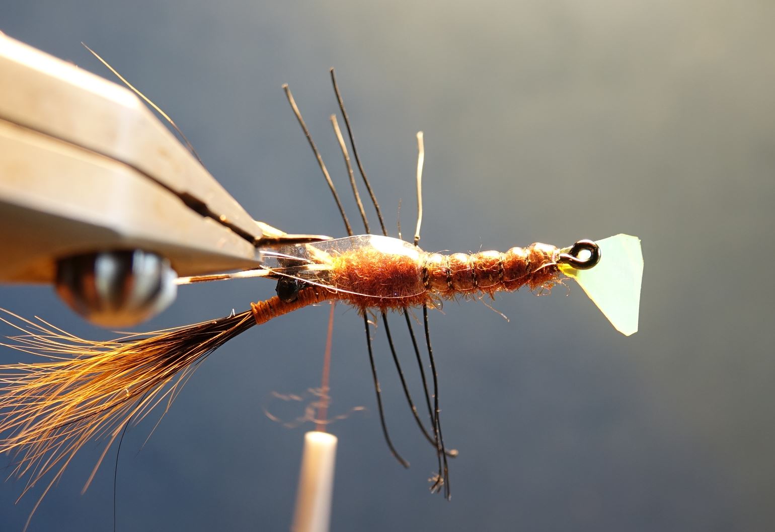 Ecrevisse craw crayfish fly tying mouche eclosion cephalothorax