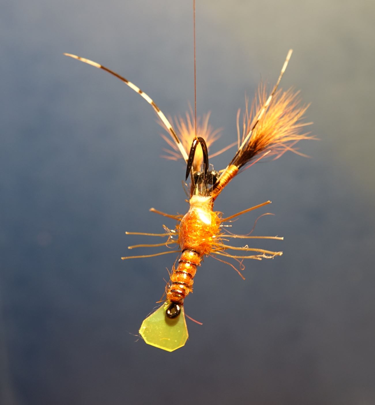 Ecrevisse craw crayfish fly tying mouche eclosion final