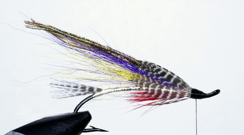 Magog smelt mouche fly salmon saumon flytying eclosion
