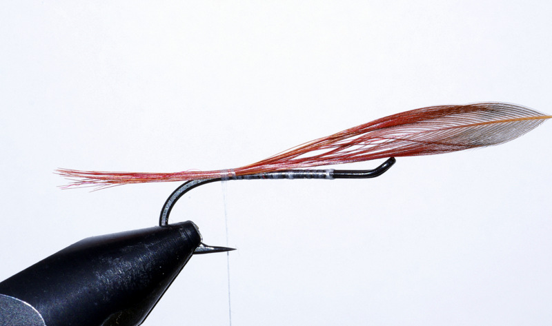 Ellé mouche fly salmon saumon Clerc flytying eclosion