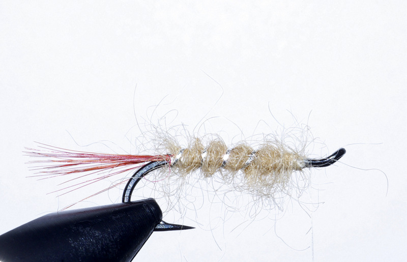 Ellé mouche fly salmon saumon Clerc flytying eclosion