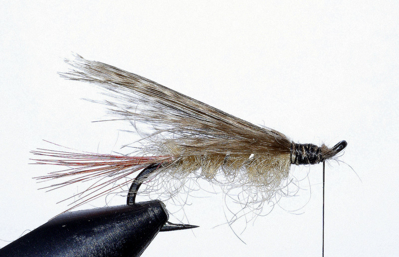 Ellé mouche fly salmon saumon Clerc flytying eclosion