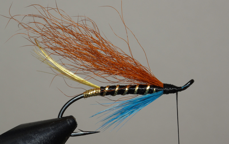 Hairy mary mouche fly saumon salmon fly-tying eclosion