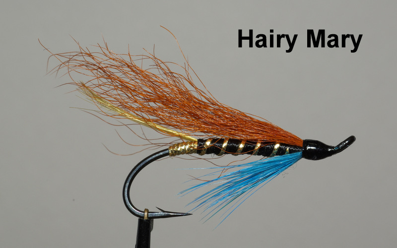 Hairy mary mouche fly saumon salmon fly-tying eclosion