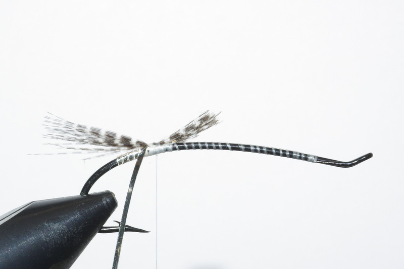 Magog smelt mouche fly salmon saumon flytying eclosion