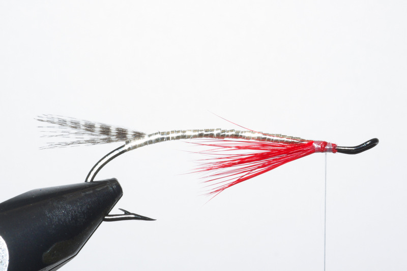 Magog smelt mouche fly salmon saumon flytying eclosion