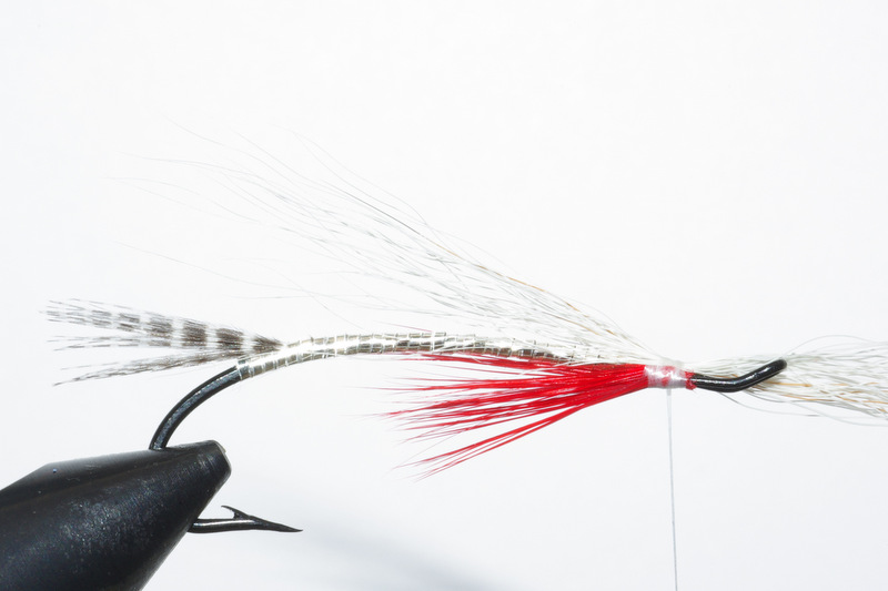 Magog smelt mouche fly salmon saumon flytying eclosion