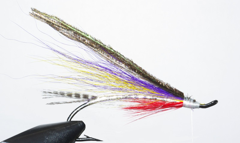 Magog smelt mouche fly salmon saumon flytying eclosion
