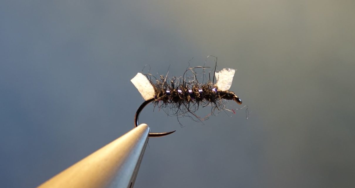 Shipman buzzer mouche fly tying reservoir eclosion