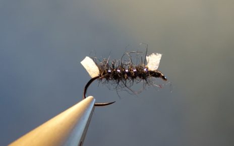 Shipman buzzer mouche fly tying reservoir eclosion