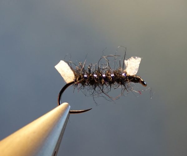 Shipman buzzer mouche fly tying reservoir eclosion