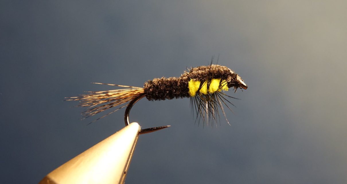 Montana fly mouche fly tying trout carp truite carpe eclosion