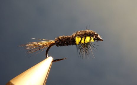 Montana fly mouche fly tying trout carp truite carpe eclosion