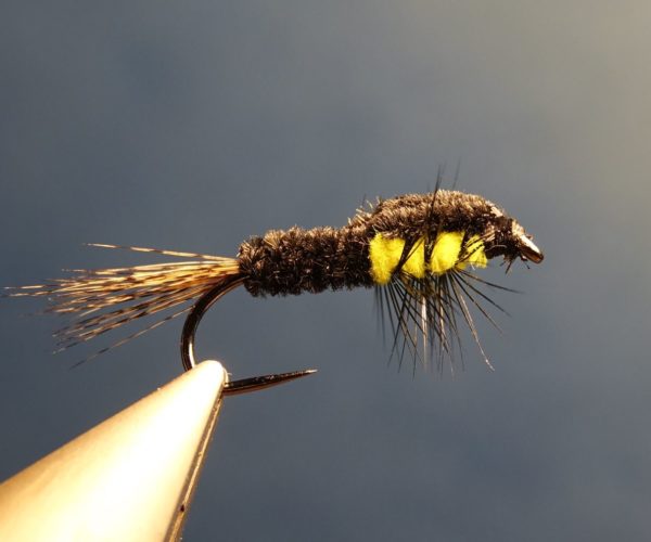 Montana fly mouche fly tying trout carp truite carpe eclosion