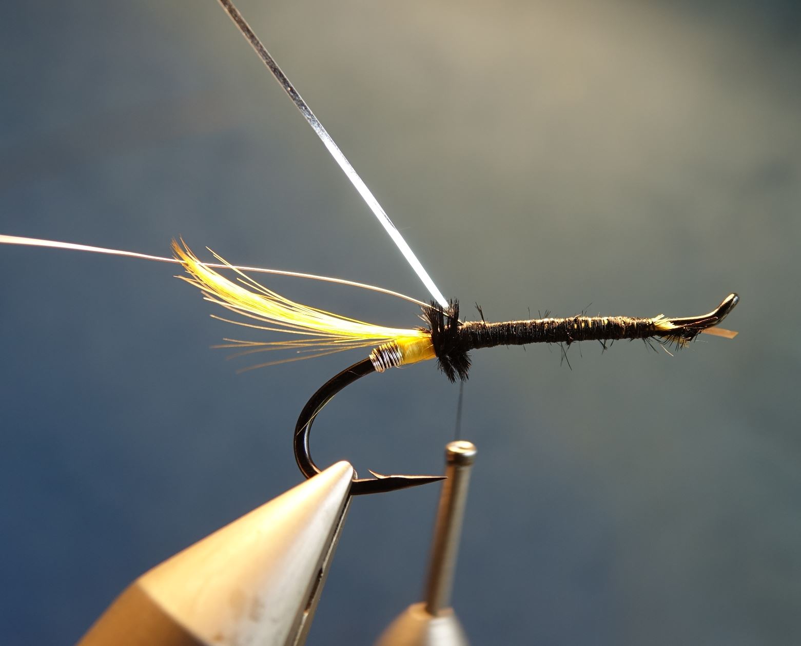 Beltra badger fly mouche salmon saumon fly tying eclosion