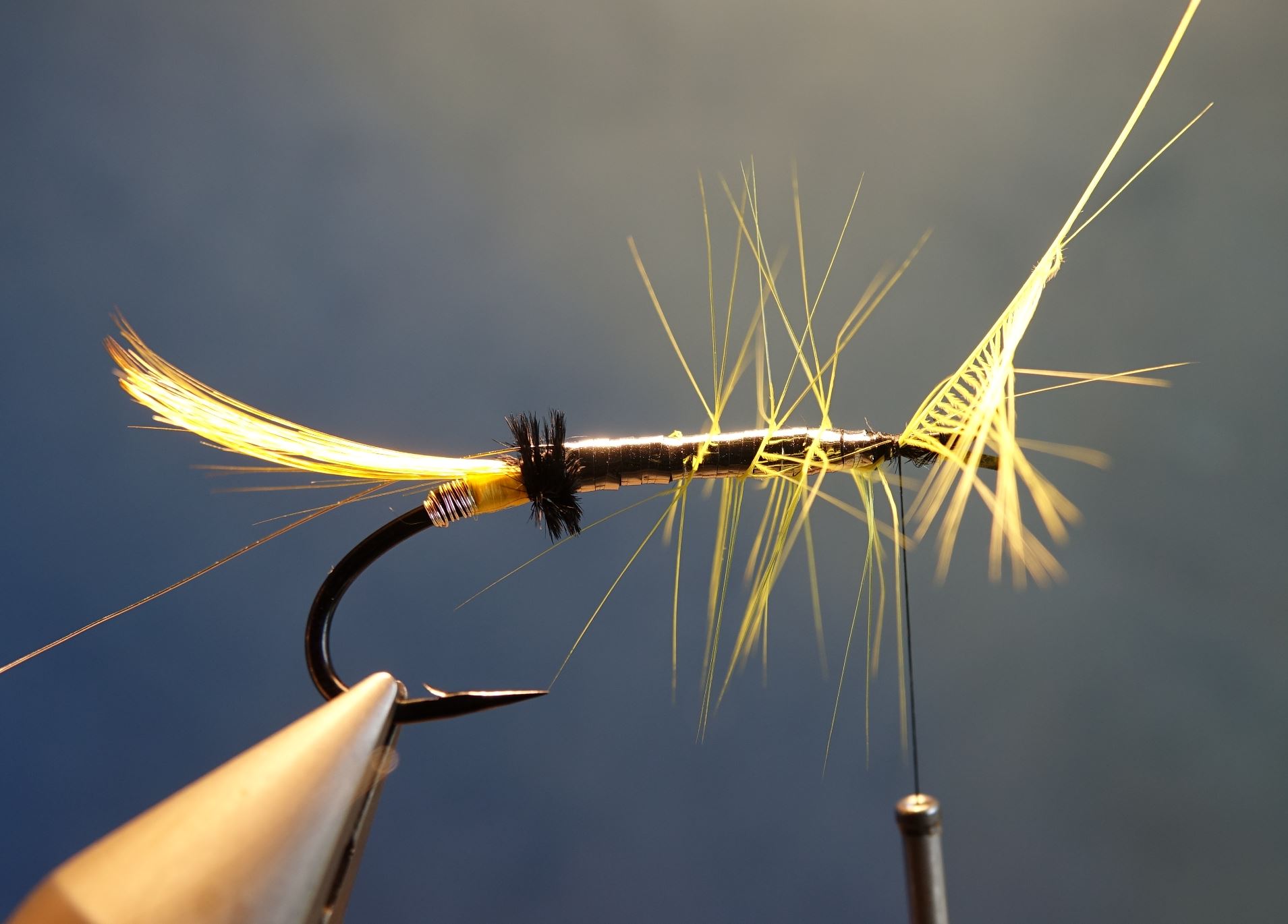 Beltra badger fly mouche salmon saumon fly tying eclosion