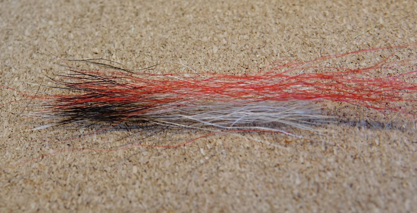 Beltra badger fly mouche salmon saumon fly tying eclosion