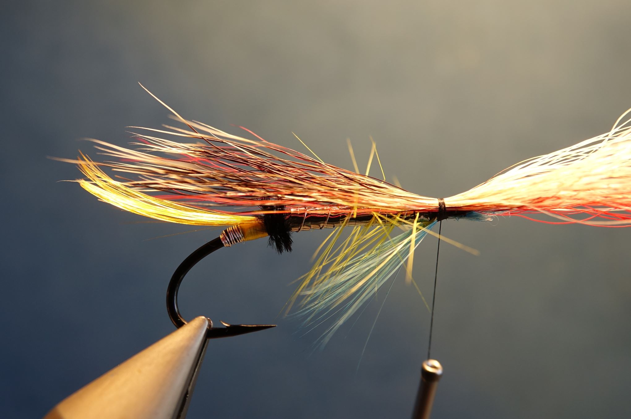 Beltra badger fly mouche salmon saumon fly tying eclosion