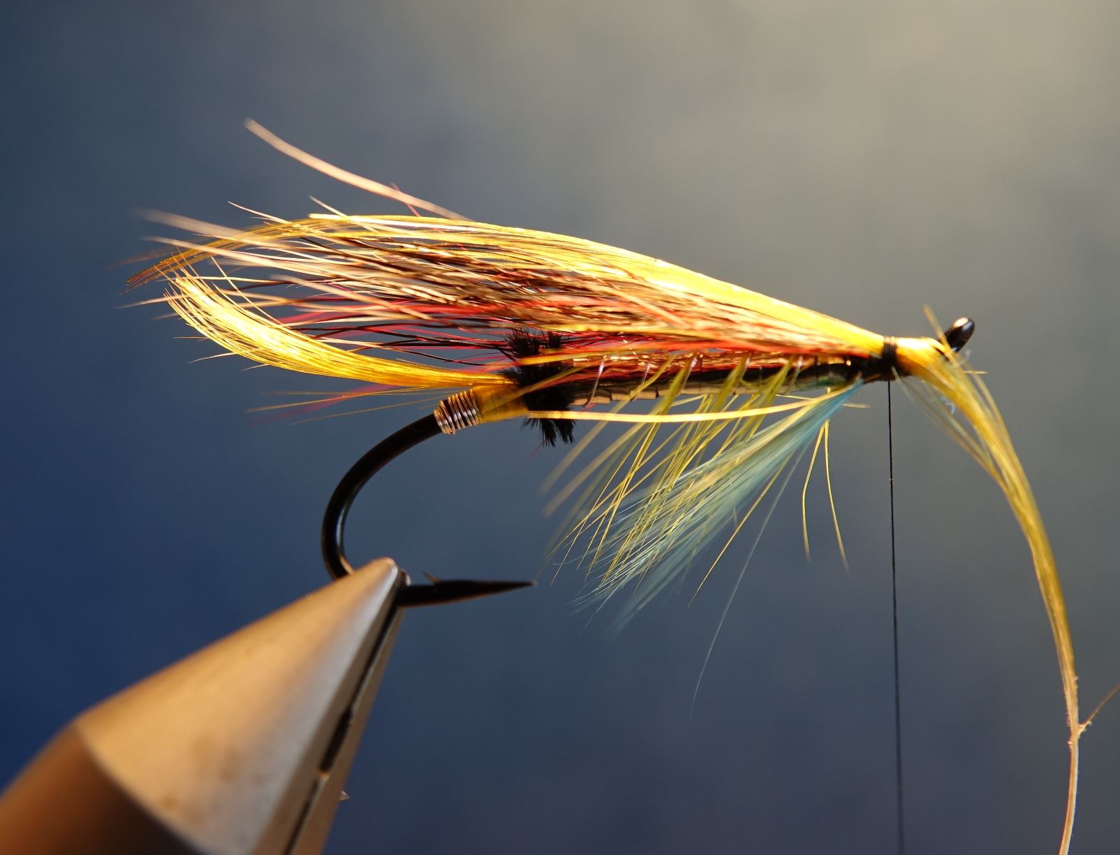 Beltra badger fly mouche salmon saumon fly tying eclosion