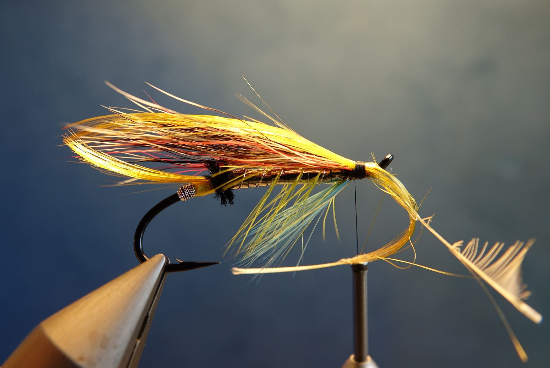 Beltra badger fly mouche salmon saumon fly tying eclosion