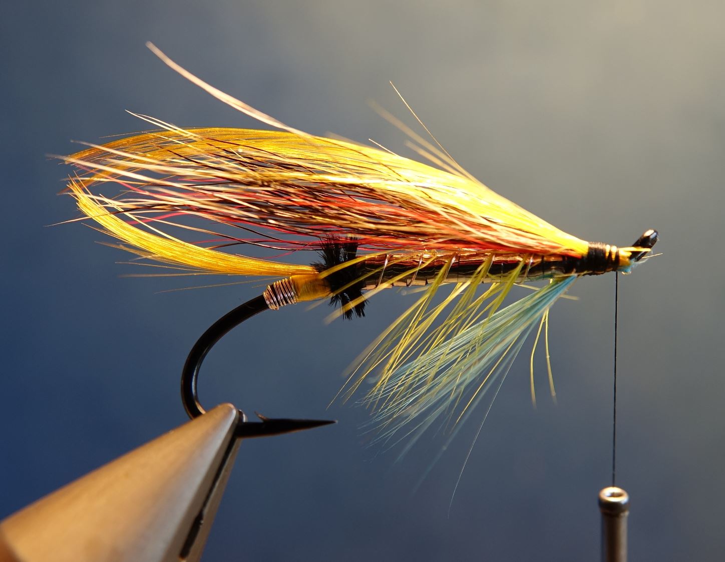 Beltra badger fly mouche salmon saumon fly tying eclosion