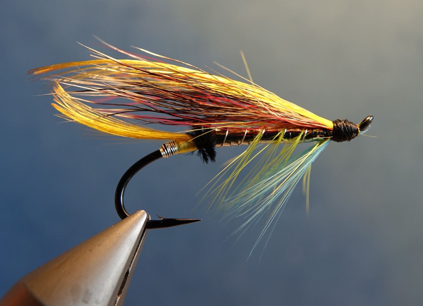 Beltra badger fly mouche salmon saumon fly tying eclosion