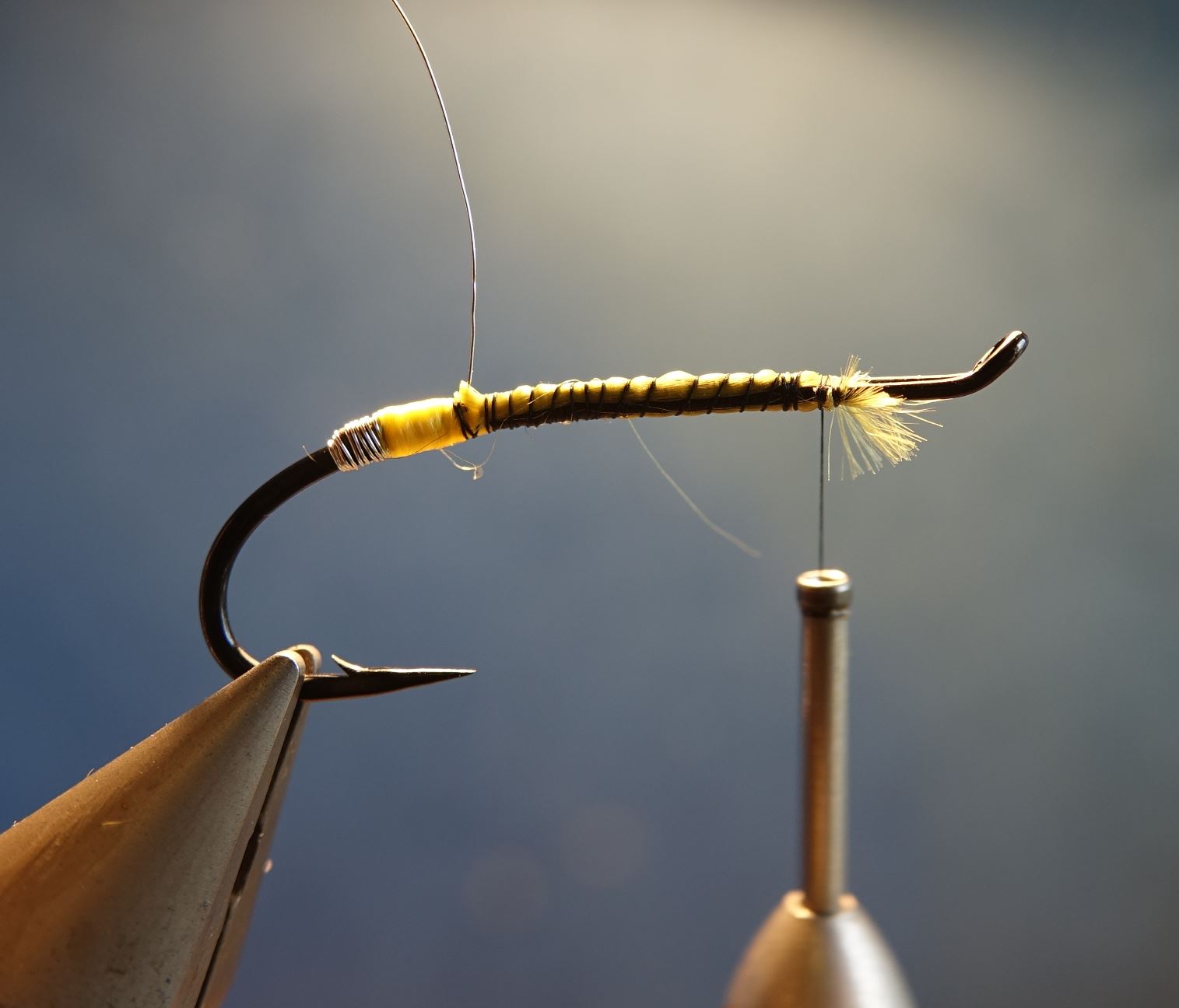 Beltra badger fly mouche salmon saumon fly tying eclosion