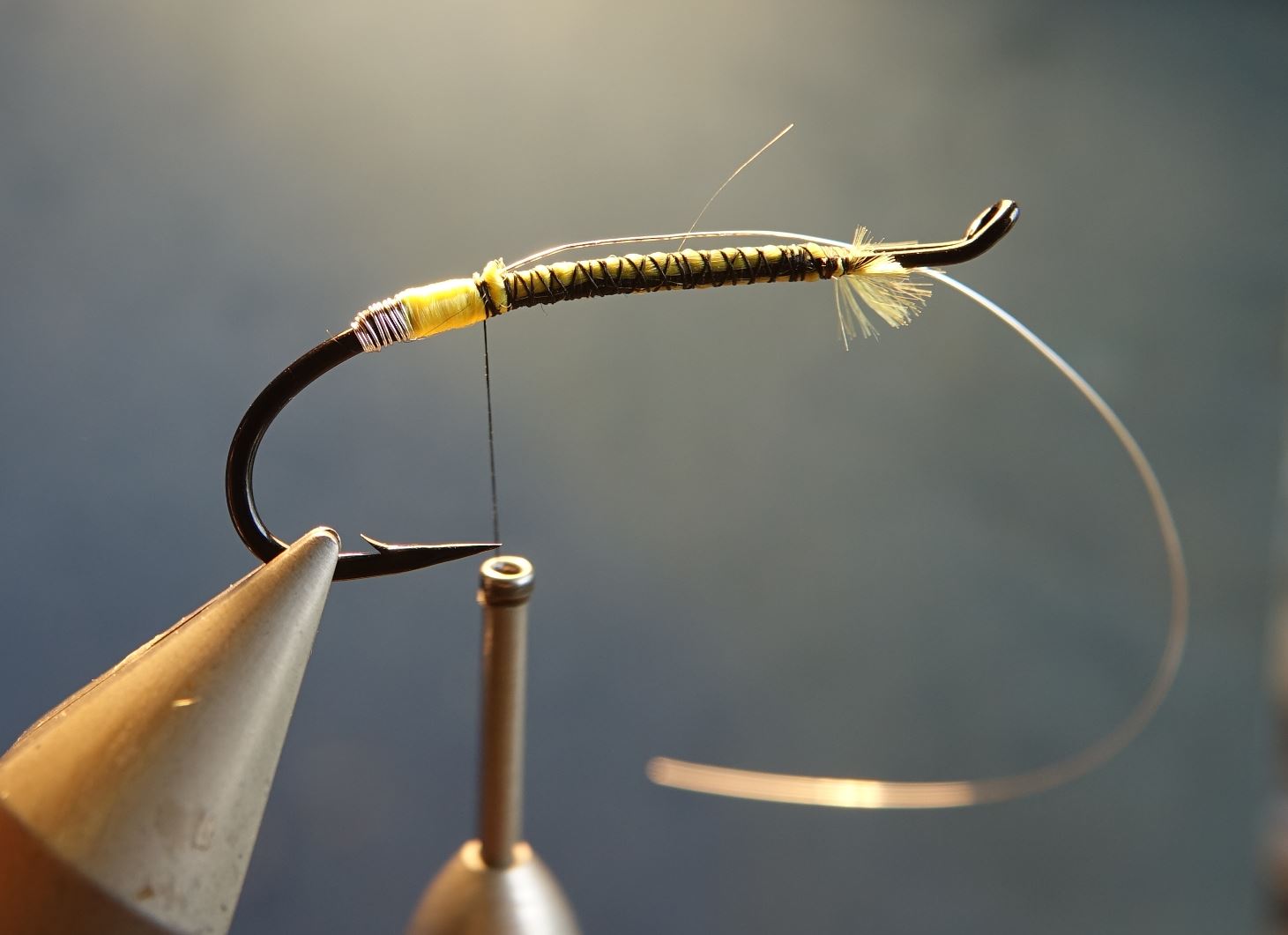 Beltra badger fly mouche salmon saumon fly tying eclosion