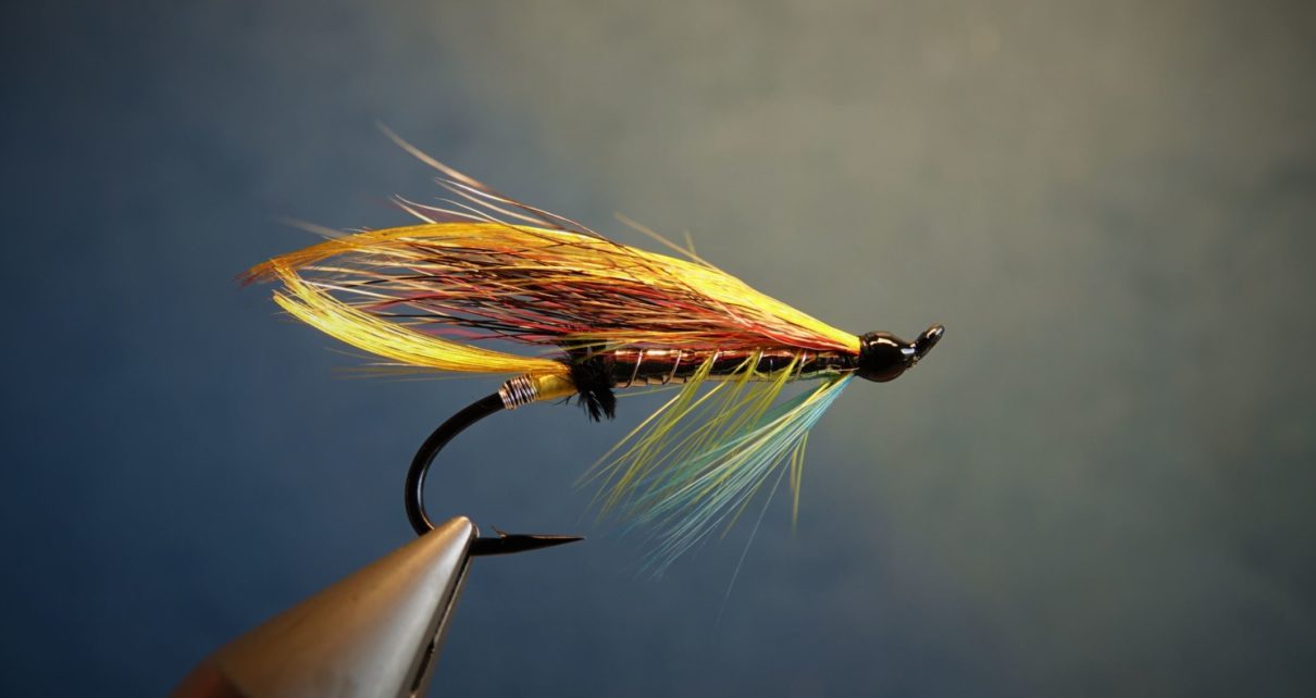 Beltra badger fly mouche salmon saumon fly tying eclosion