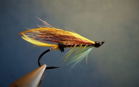 Beltra badger fly mouche salmon saumon fly tying eclosion