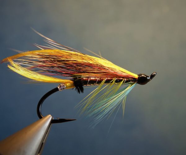 Beltra badger fly mouche salmon saumon fly tying eclosion