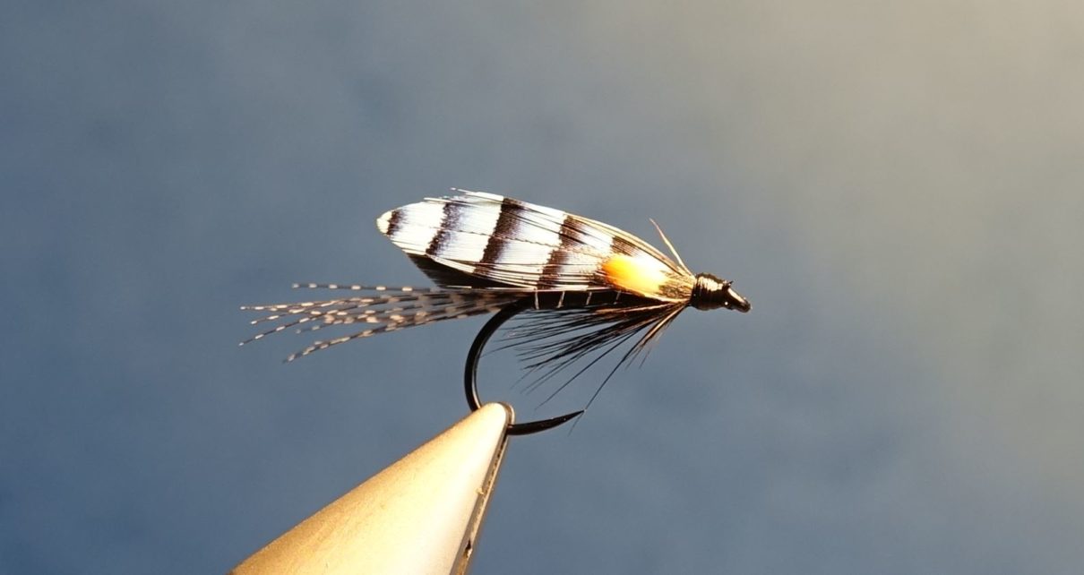 Colonel Downman mouche fly sea-trout salmon saumon TDM truite de mer fly tying eclosion