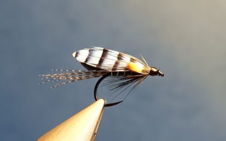 Colonel Downman mouche fly sea-trout salmon saumon TDM truite de mer fly tying eclosion