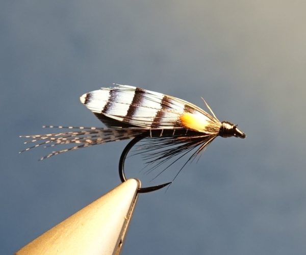 Colonel Downman mouche fly sea-trout salmon saumon TDM truite de mer fly tying eclosion