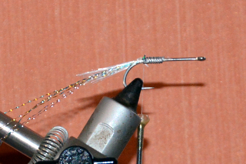 Crevette schrimp mouche fly tying eclosion