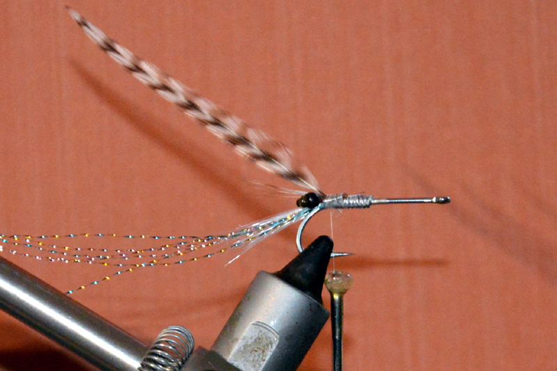 Crevette schrimp mouche fly tying eclosion