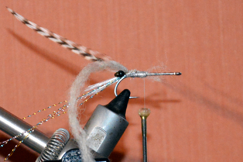 Crevette schrimp mouche fly tying eclosion