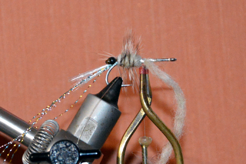 Crevette schrimp mouche fly tying eclosion