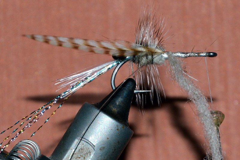 Crevette schrimp mouche fly tying eclosion