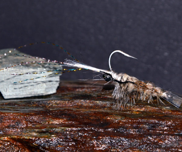 Crevette schrimp mouche fly tying eclosion
