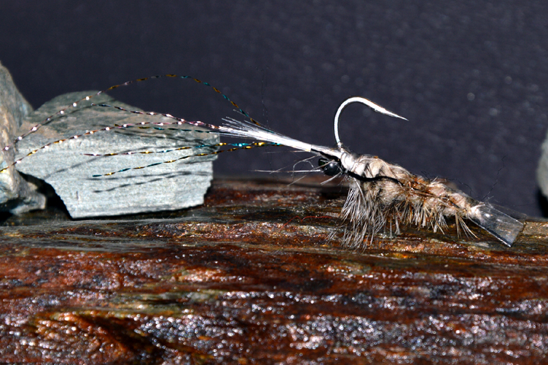 Crevette schrimp mouche fly tying eclosion