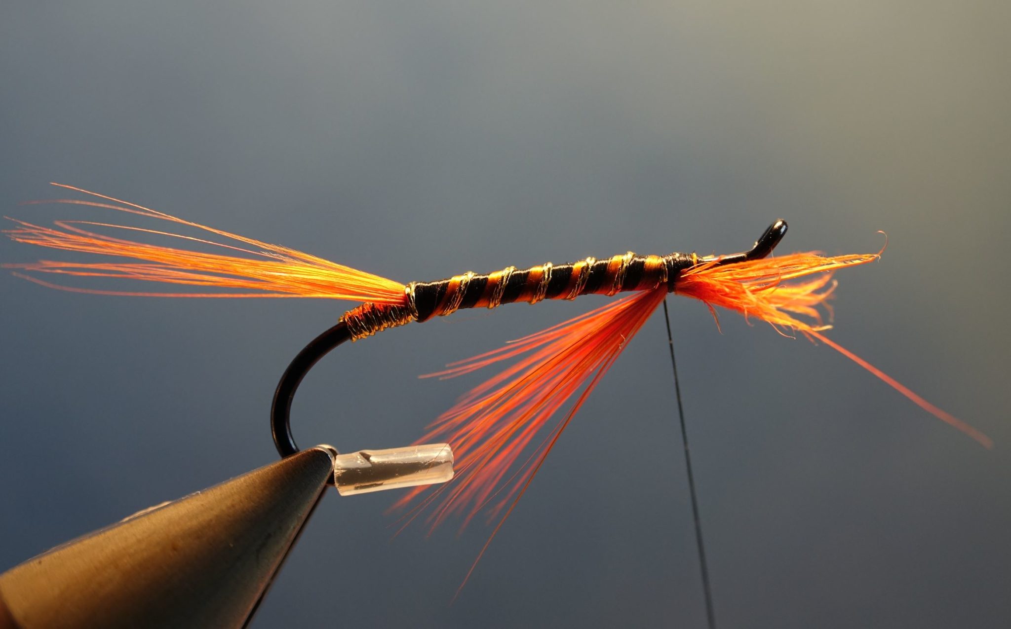 Orange cuileag TDM truite de mer sea trout mouche fly saumon salmon flytying eclosion