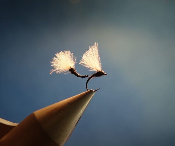 Chiro chironome chironomid tandem twin mouche fly flytying eclosion