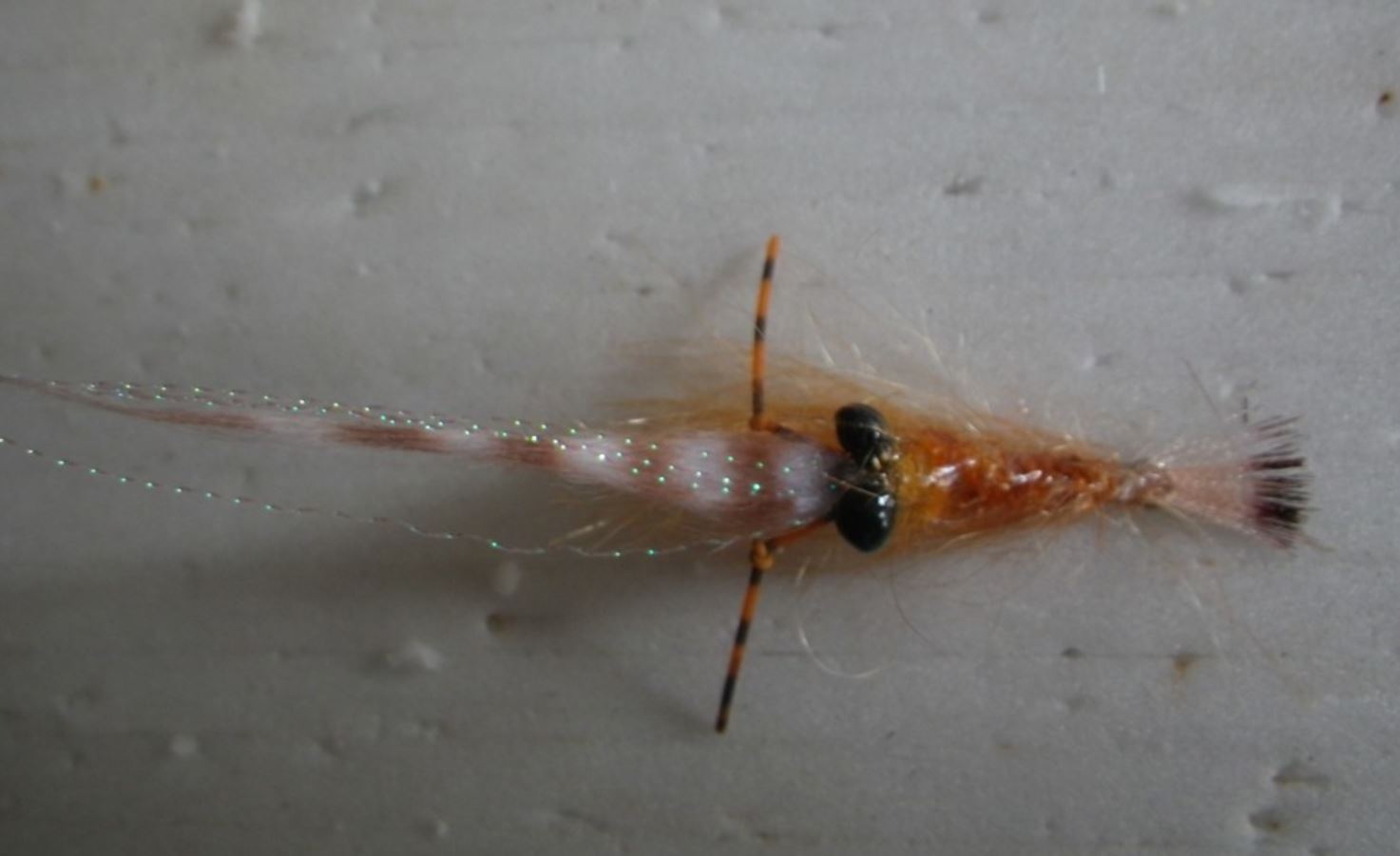 10 mouches - Crevettes d'eau douce nymphe sur un bronze 10 Mustad Hook - Fish307