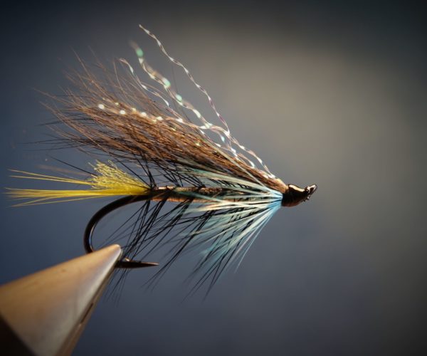Mouche fly salmon saumon classique squirrel 6kg flytying eclosion