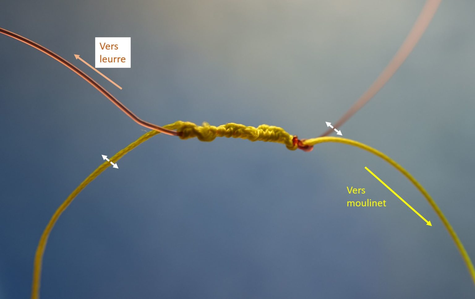 Nœud de raccord tresse fluorocarbone Éclosion