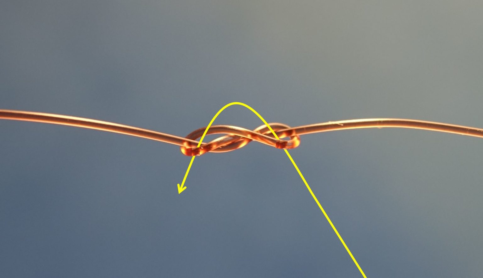 Nœud de raccord tresse fluorocarbone Éclosion