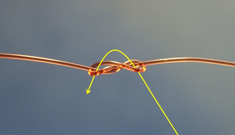 Nœud de raccord tresse - fluorocarbone - Éclosion