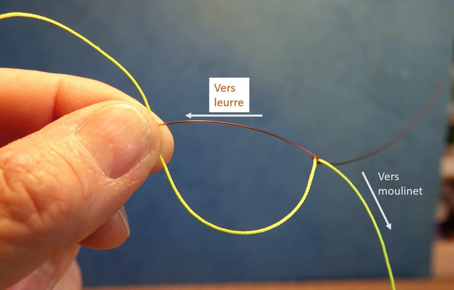 Nœud de raccord tresse fluorocarbone Éclosion