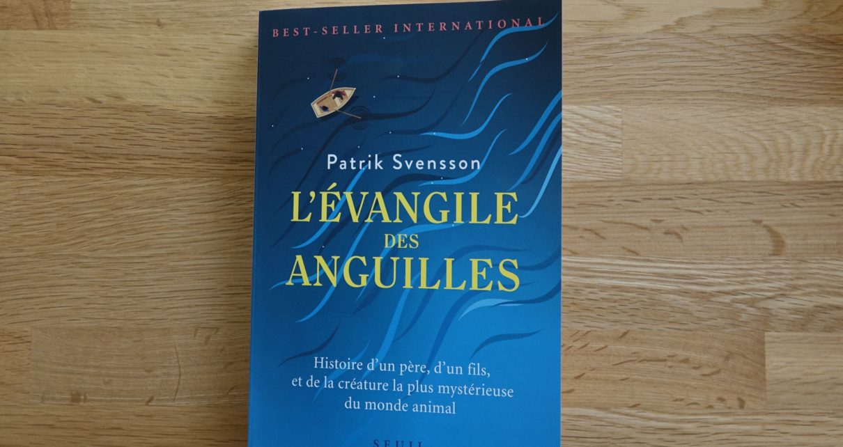 evangille des anguilles livre book patrick Svensson eclosion